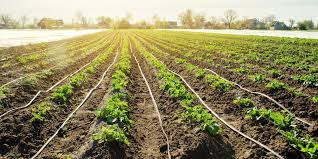 Drip Irrigation System Kit - 1 Hectare